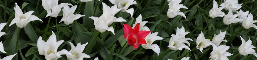 Employees behaving badly what can you do as an employer? Stacks Law Firm