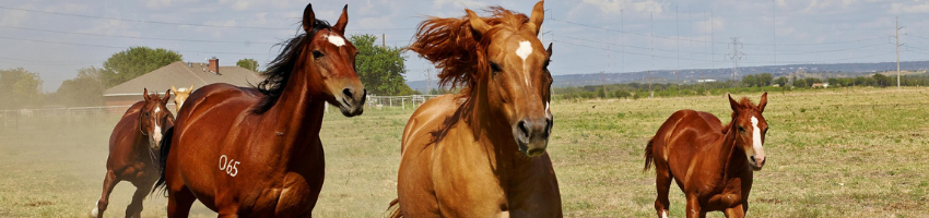 Horseplay in the workplace leads to $662,102 in damages